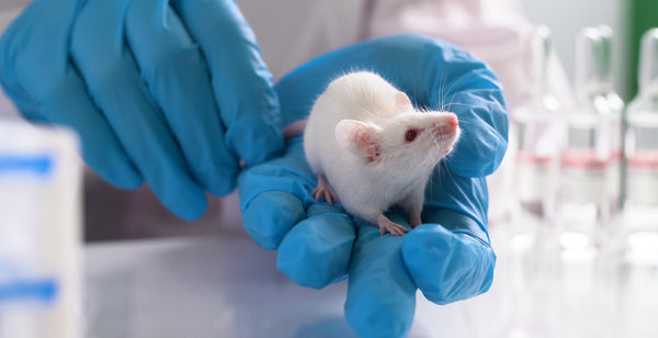 Image Quelle marque de cosmétique ne teste pas sur les animaux ?