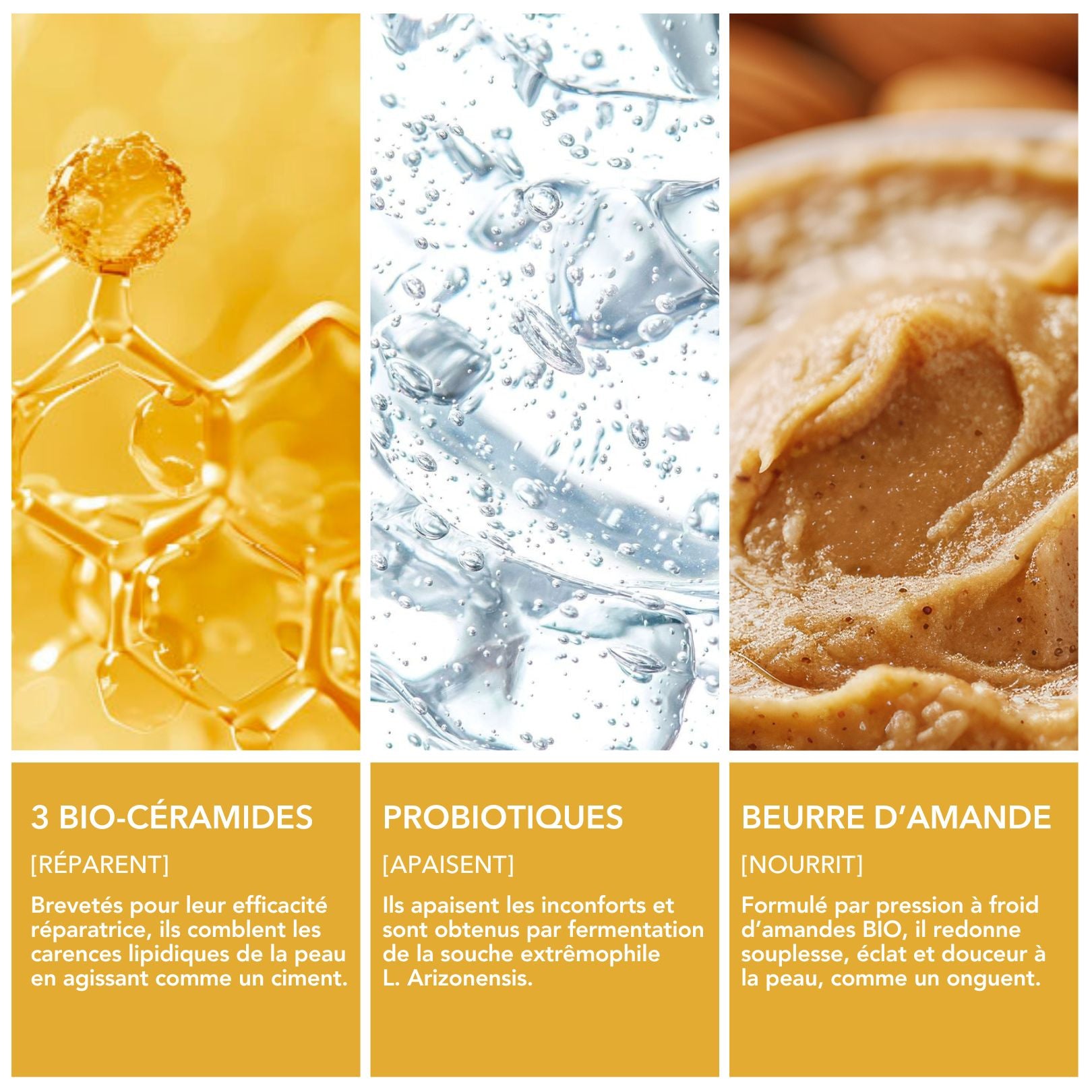 Crème corps aux céramides