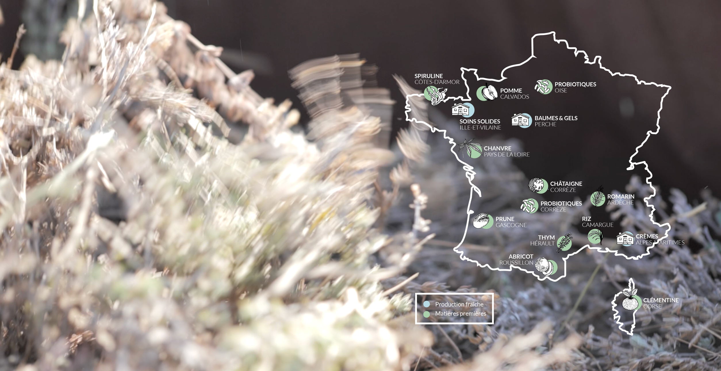 Soins fabriqués en France et ingrédients français