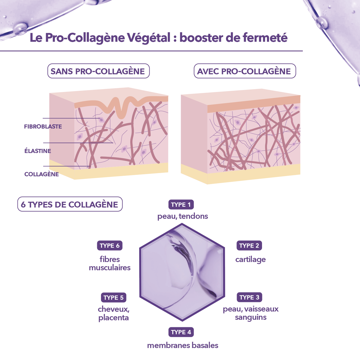 Pro-Collagène_Krème