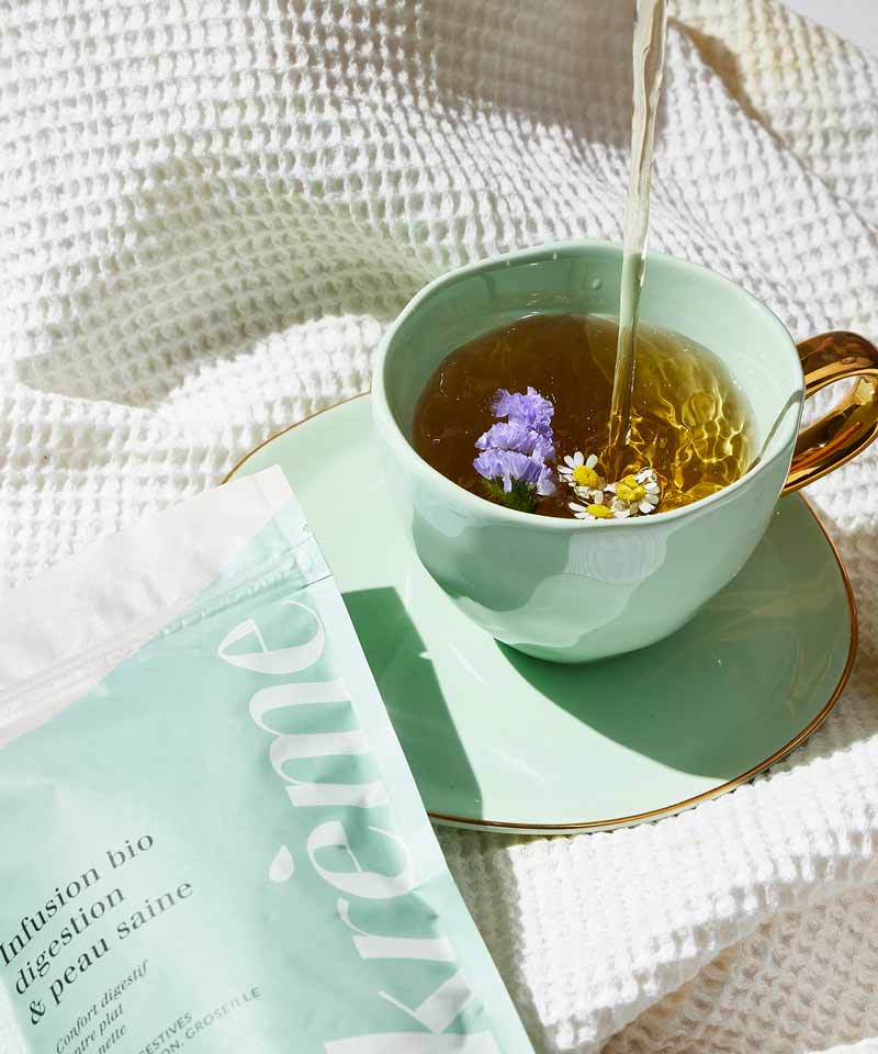 Dégustation infusion chaude ou froide