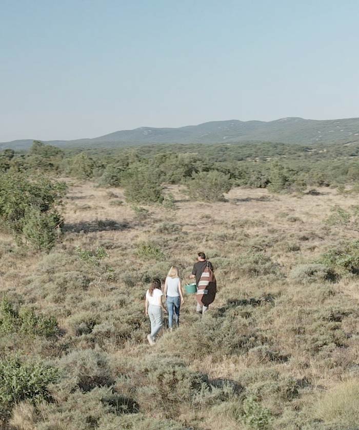 cosmétiques made in France circuit court