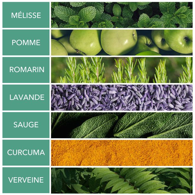tisane bio digestion peau saine