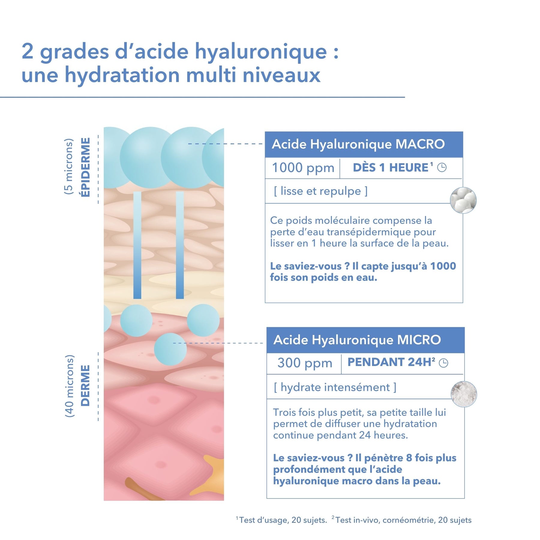 Deux grades d'acide hyaluronique