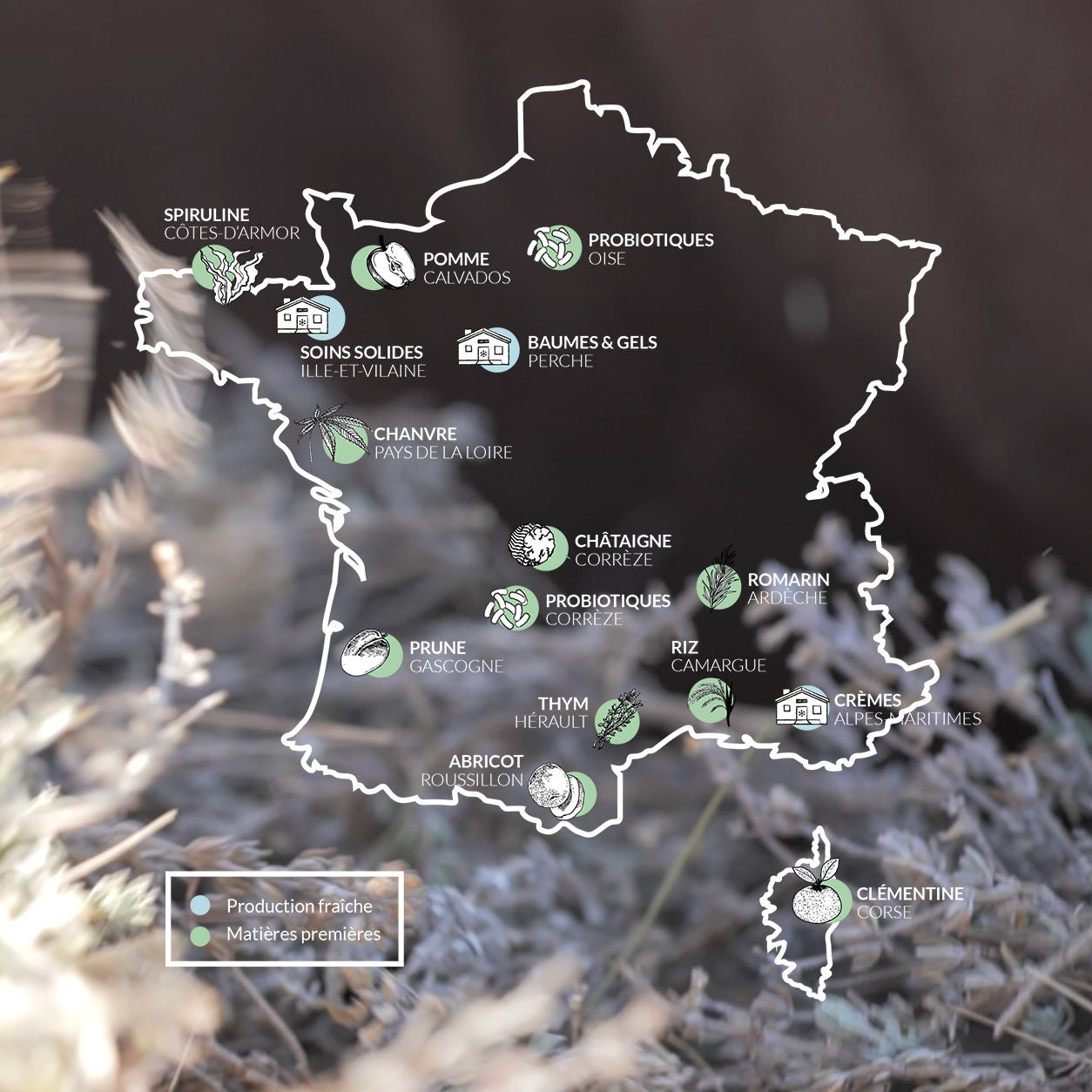 Soins fabriqués en France et ingrédients français