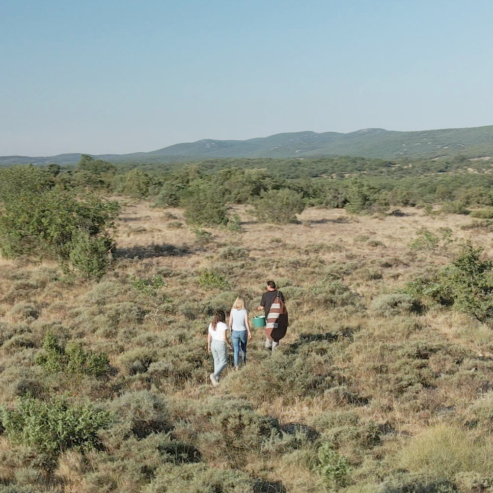 Soins fabriqués et formulés en France