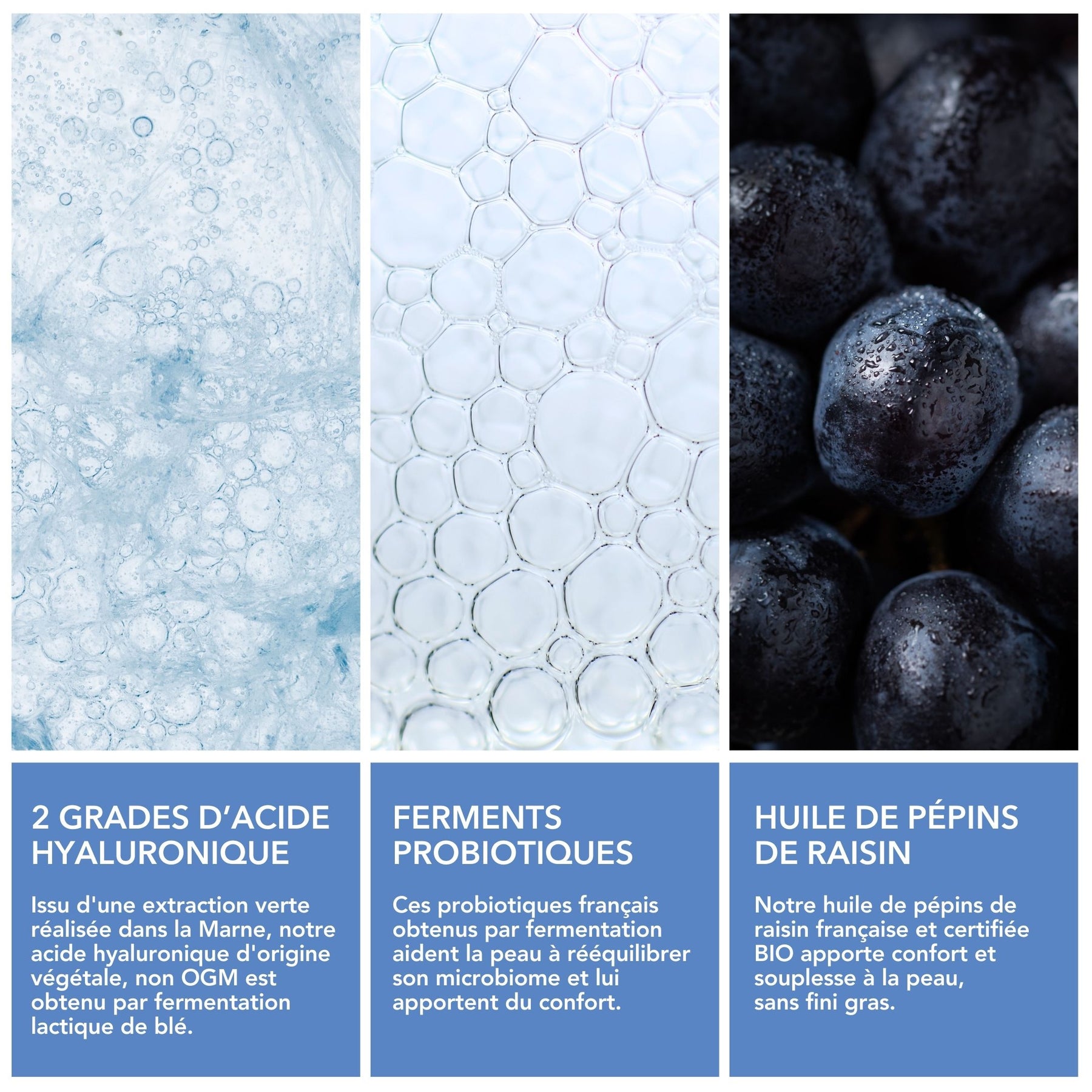 Nouvelle formule augmentée Crème Hydratation Intense