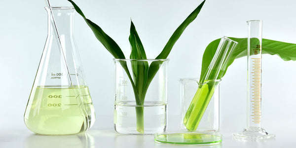 Image Le collagène végétal est-il aussi efficace que le collagène marin ?