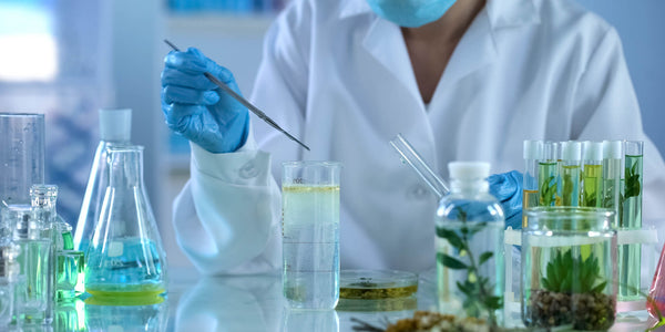 Image Une crème visage sans produits chimiques est-elle meilleure que les autres ?