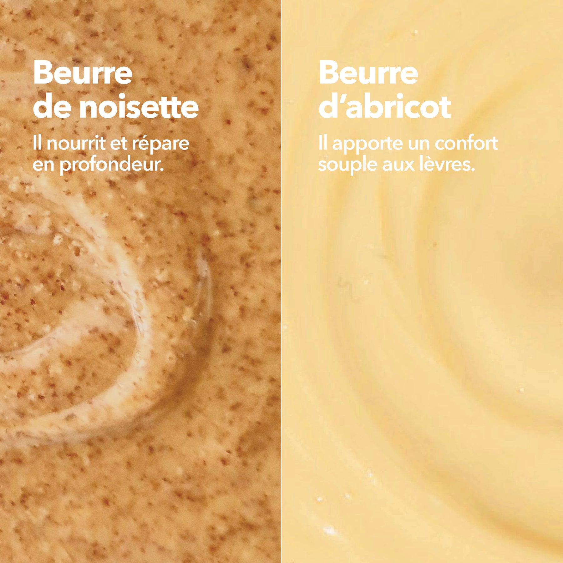 Baume Lèvres Réparateur Beurre Noisette Abricot