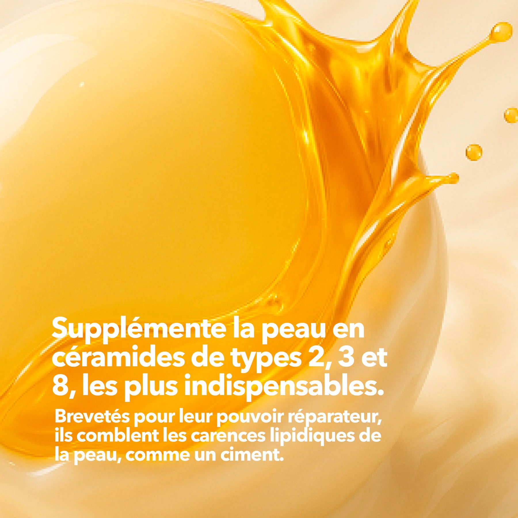 Crème Corps Concentrée Céramides Brevetés