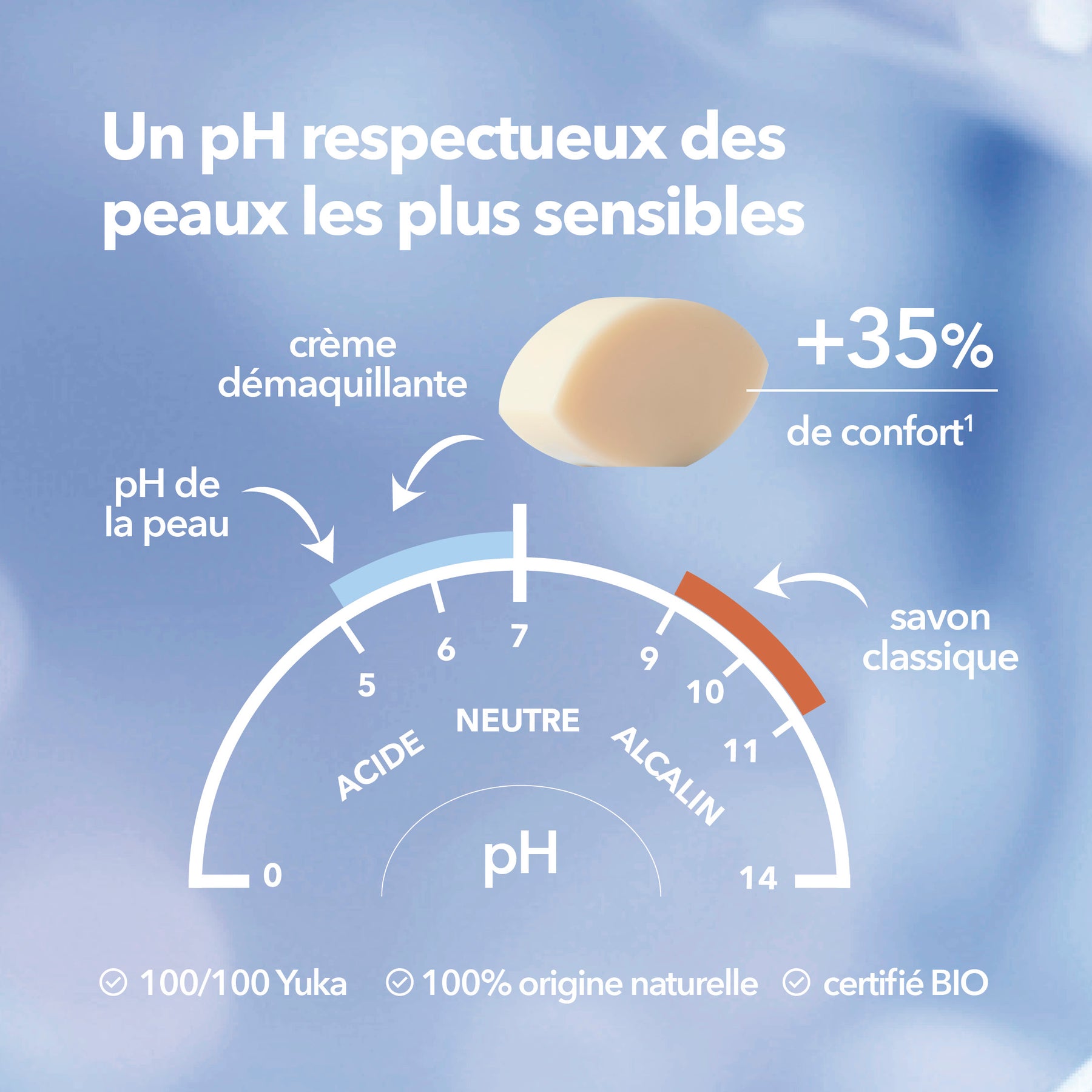Crème Nettoyante Solide pH