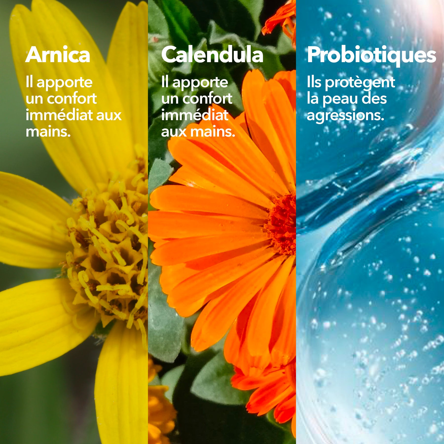 Krème Crème Mains Concentrée Ingrédients