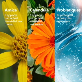 Krème Crème Mains Concentrée Ingrédients