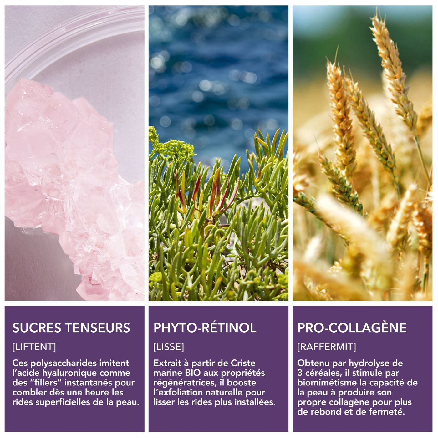 Sérum Anti-Rides au Collagène et Phyto-Rétinol | Krème