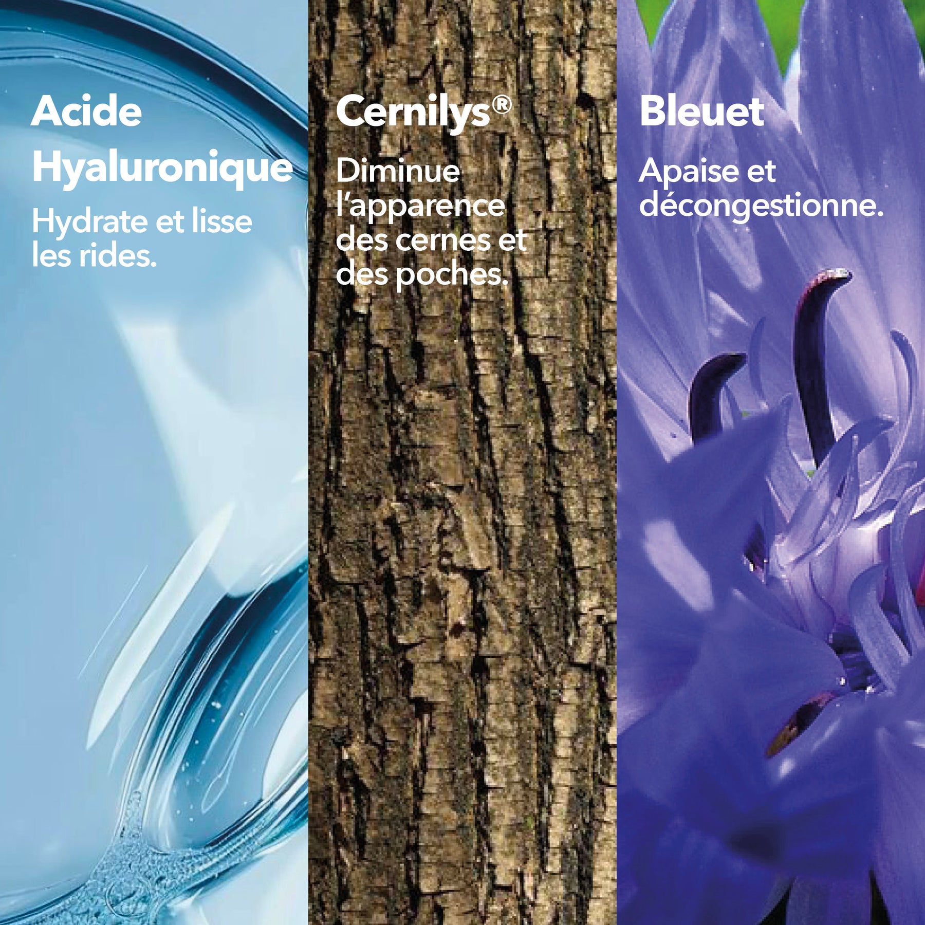 Soin Regard Anti-Cernes Défatigant Ingrédients