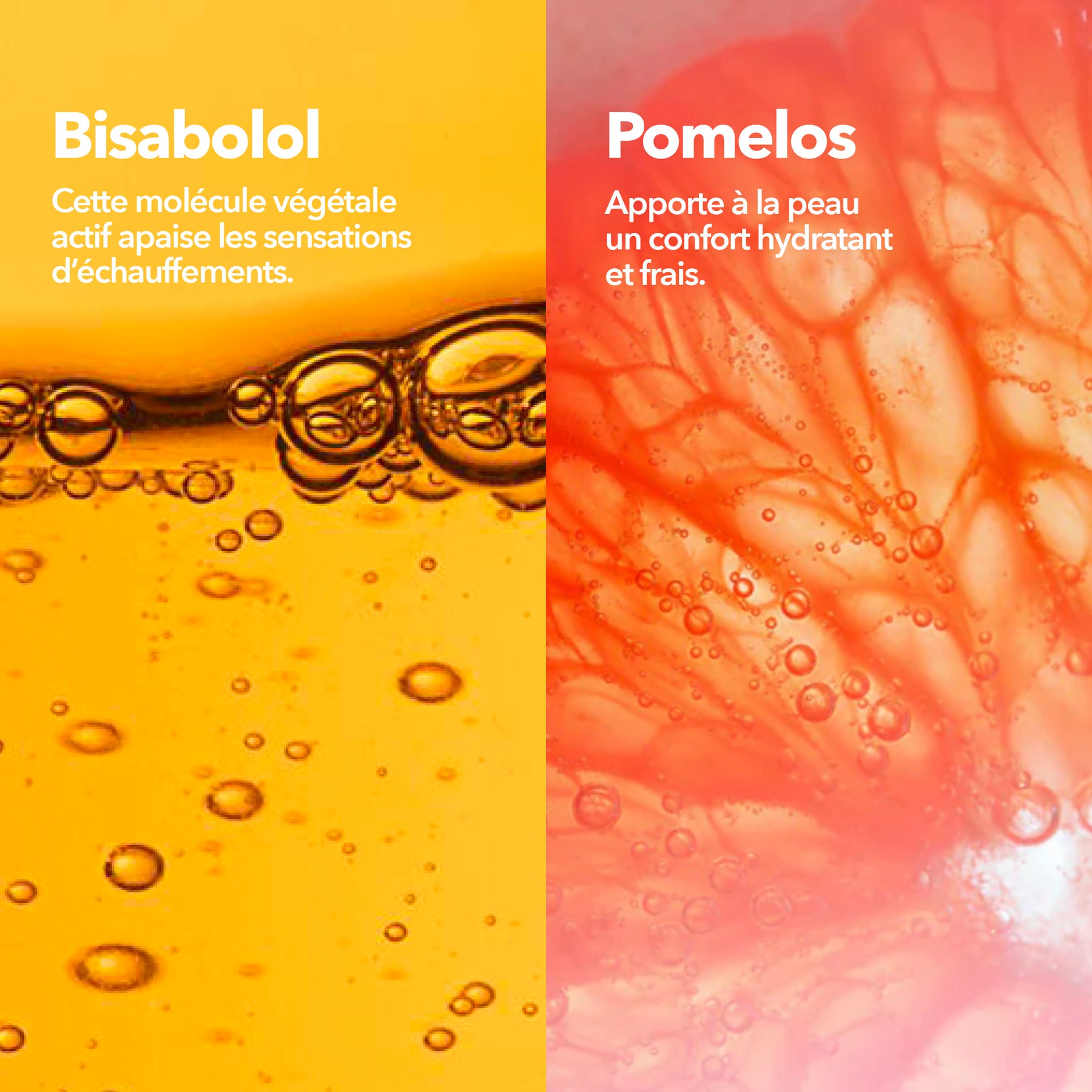 Stick Solaire Invisible Ingrédients Bisabolol Pomelos