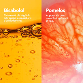Stick Solaire Invisible Ingrédients Bisabolol Pomelos