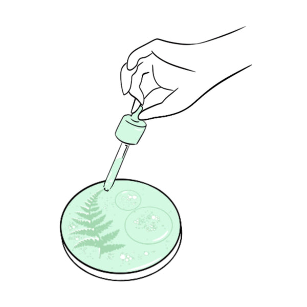 Efficacité des plantes